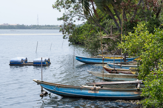 Srilanka Lagoon